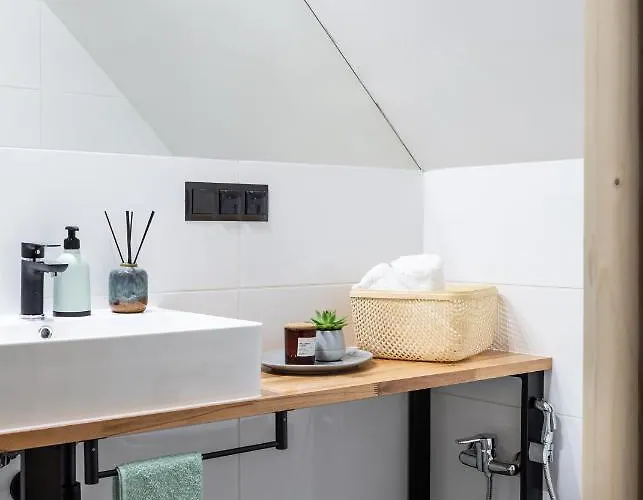 木屋 Mount Center 扎科帕内